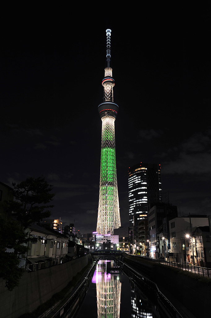 スカイツリー　クリスマス特別ライティング　「シャンパンツリー」