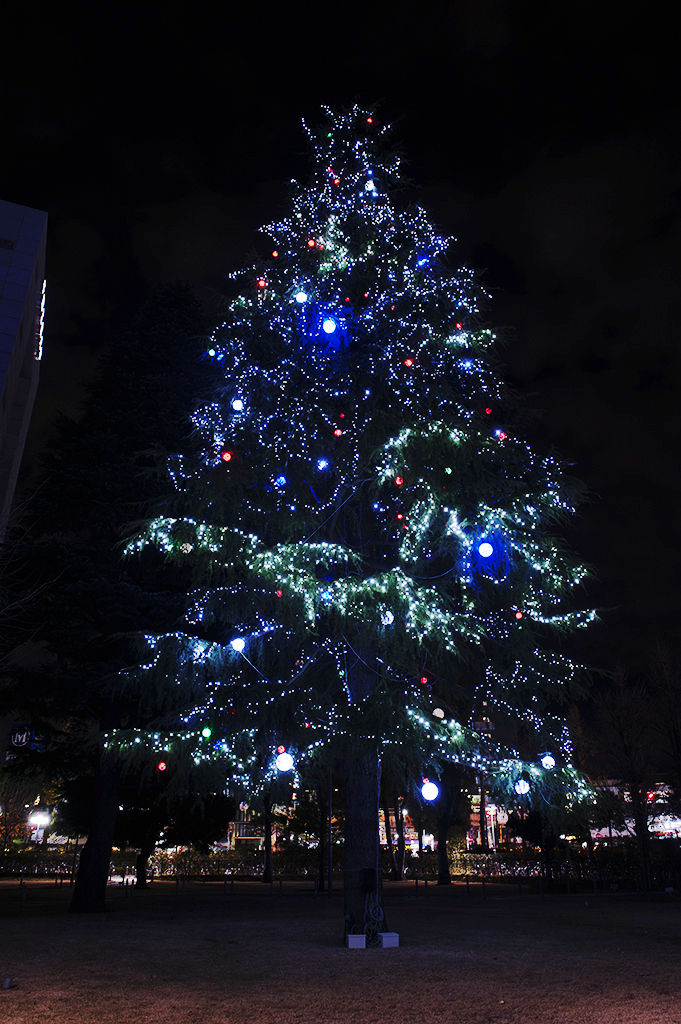 ライトアップされた、クリスマスツリー