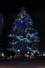 ライトアップされた、クリスマスツリー