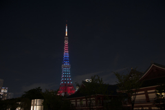 東京タワー「リオオリンピック・パラリンピック」特別ライティング