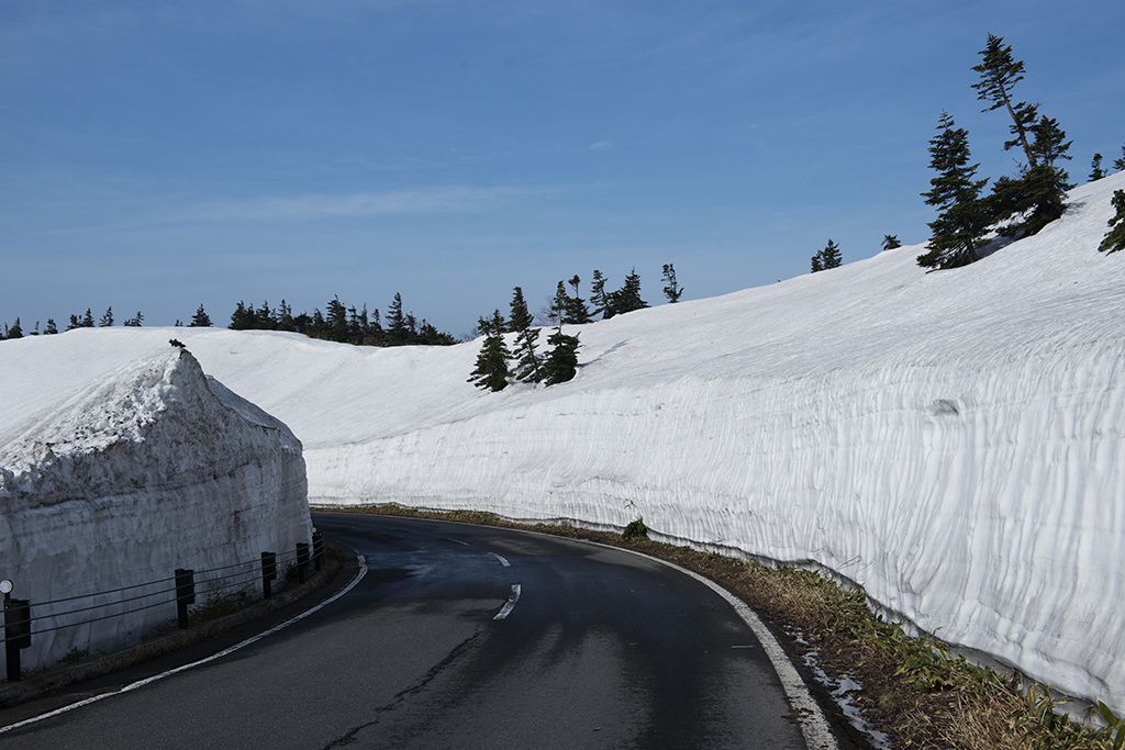 草津志賀高原ルートの雪の壁