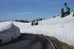 草津志賀高原ルートの雪の壁