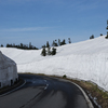 草津志賀高原ルートの雪の壁