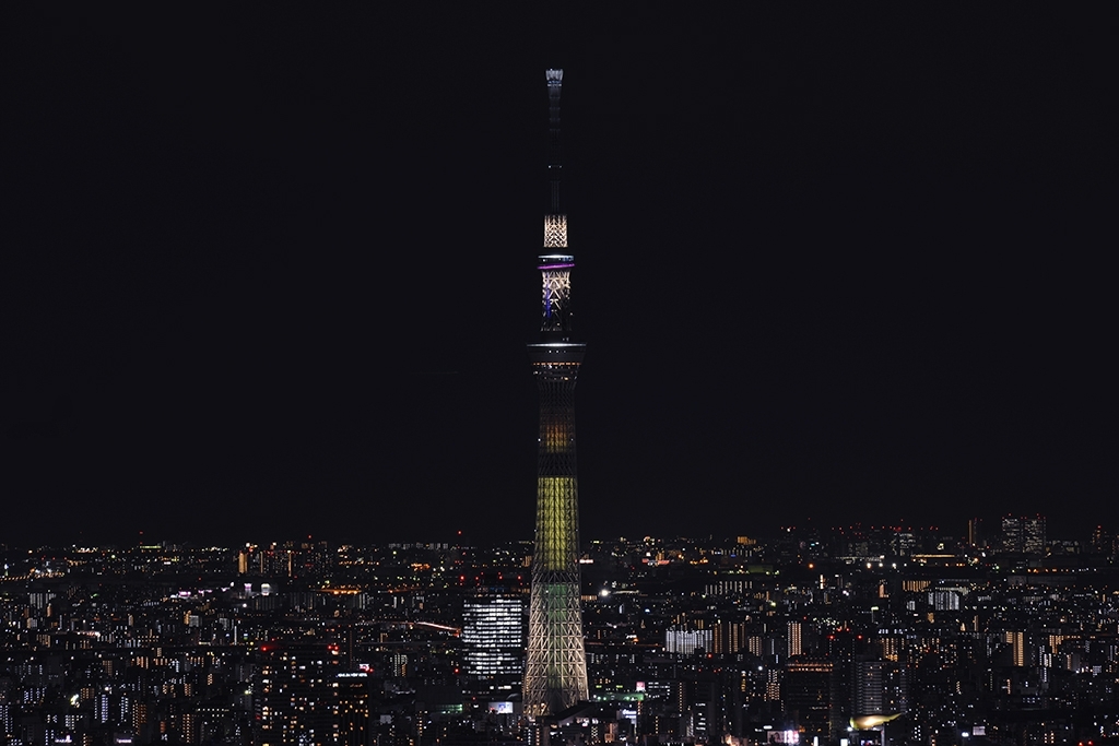 サンシャイン60展望台から見たスカイツリー