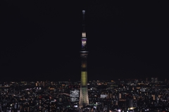 サンシャイン60展望台から見たスカイツリー
