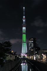 スカイツリー　クリスマス特別ライティング「ホワイトツリー」