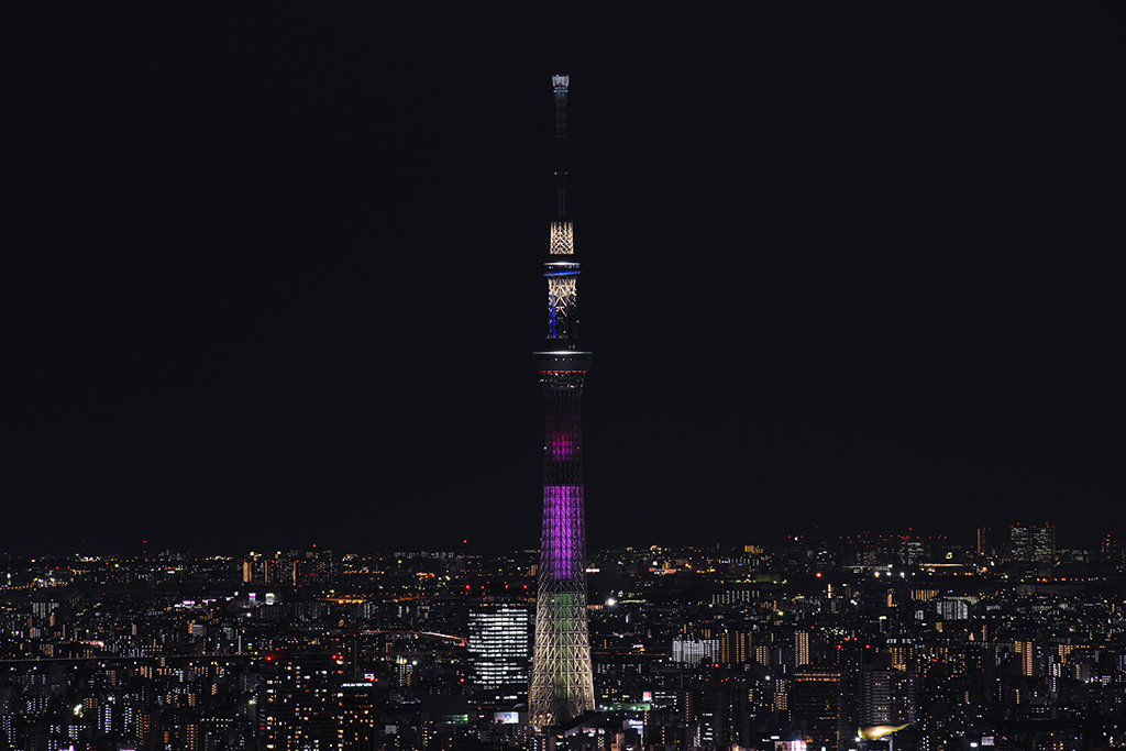 サンシャイン60展望台から見たスカイツリー
