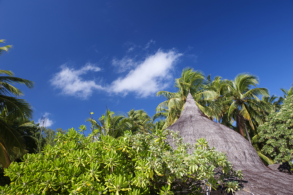 モルディブ　トラギリアイランド