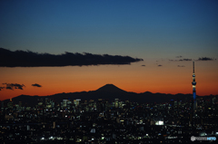 富士山とスカイツリーの夕景