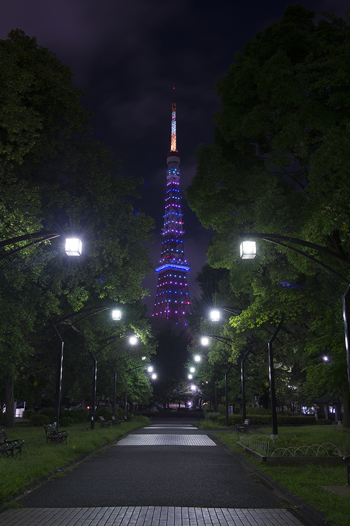 東京タワー　一日限定のライティング
