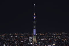 サンシャイン60展望台から見たスカイツリー