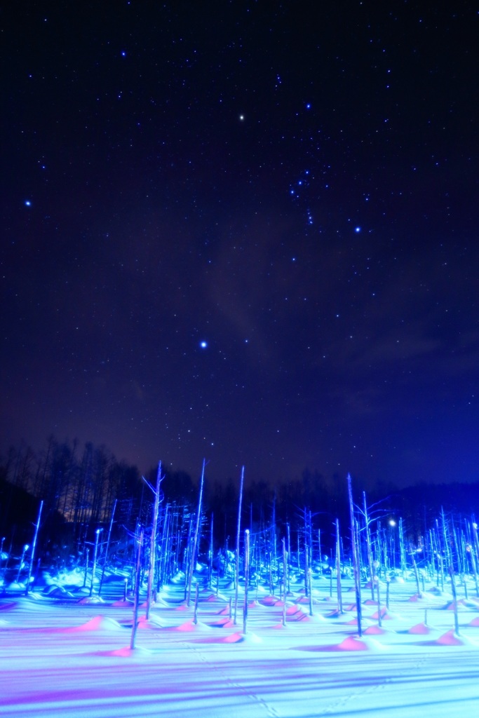 北海道美瑛 青い池とオリオン座とシリウス