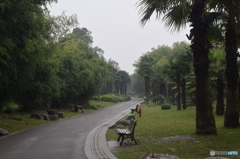 上海植物園にて