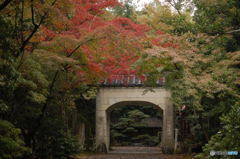 初の紅葉撮影