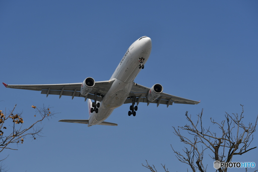 虹橋空港