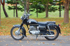 CD125T