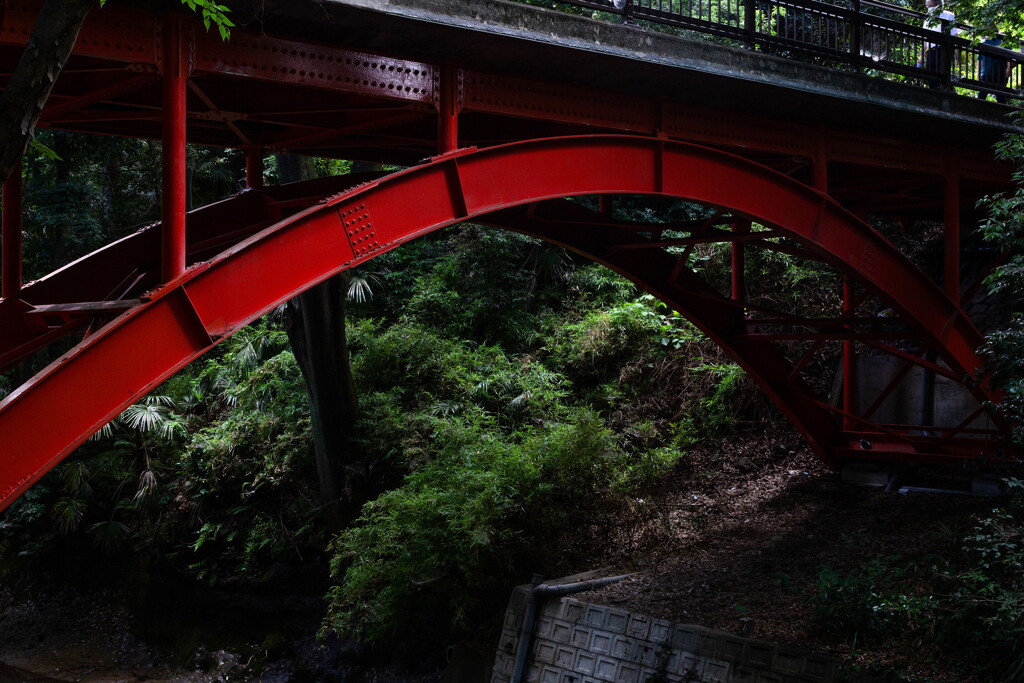 東京遊歩、晴好雨奇（ゴルフ橋）