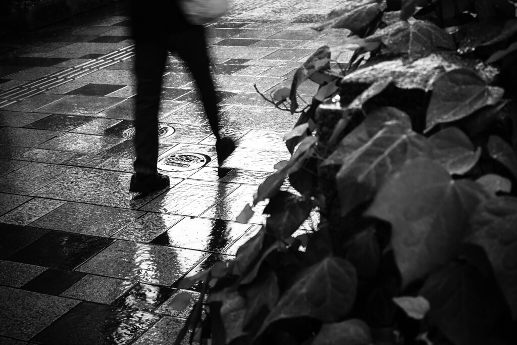 City in the rain