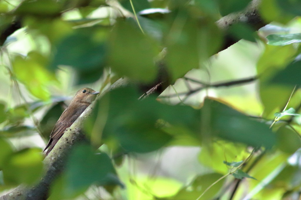 旅の途、秋麗と一休み