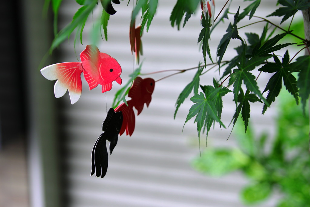 ぶらっと、下総路・本土寺への道すがら