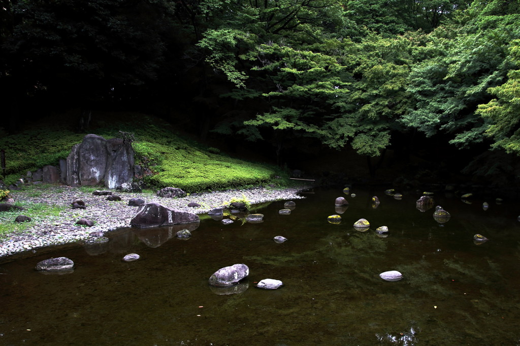 深緑の夏