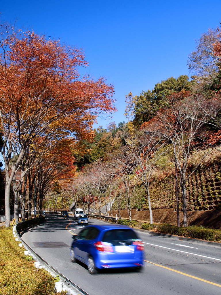 ぶらっと、武蔵野路・高尾街道