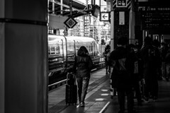 東京大脱走 ～ 東京駅・北国へ ～