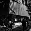 東京遊歩 ～ 街の陽（Ginza Six）～