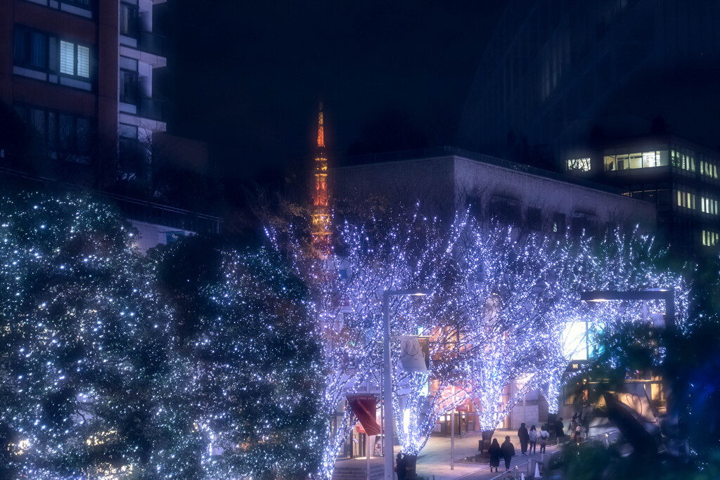 City lights