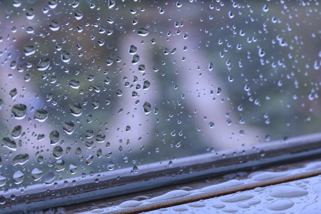 雨漏り