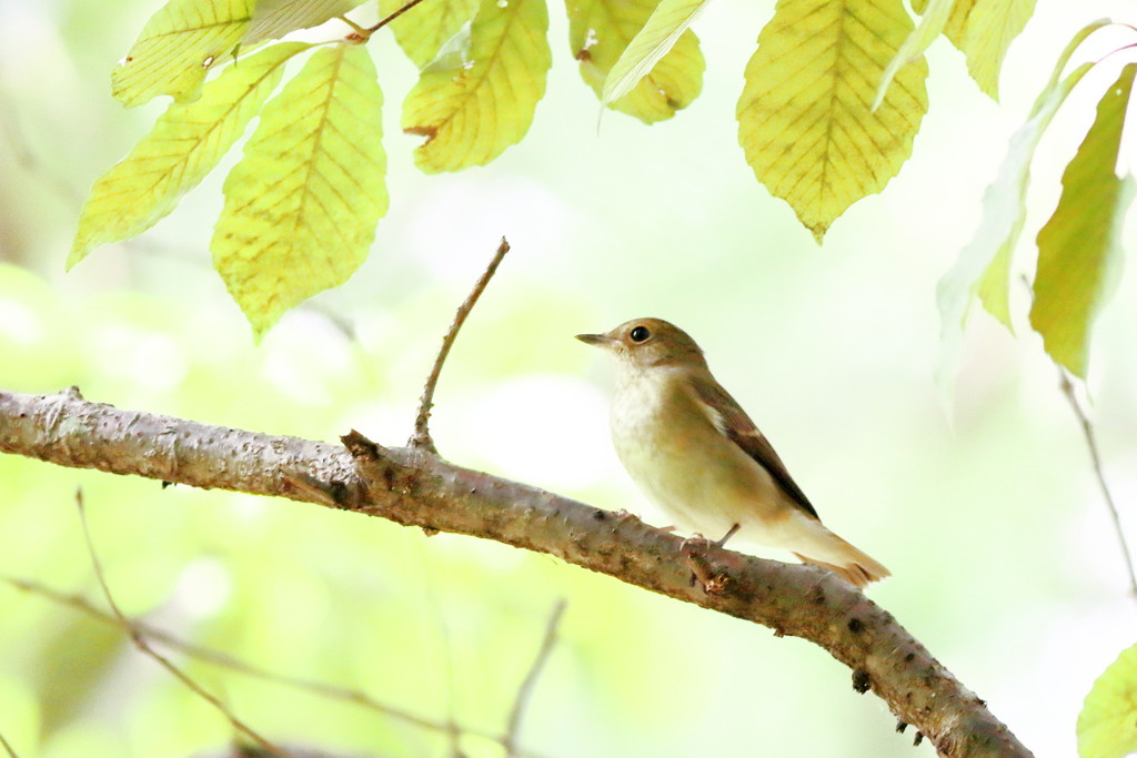 とある湾岸の小春日和