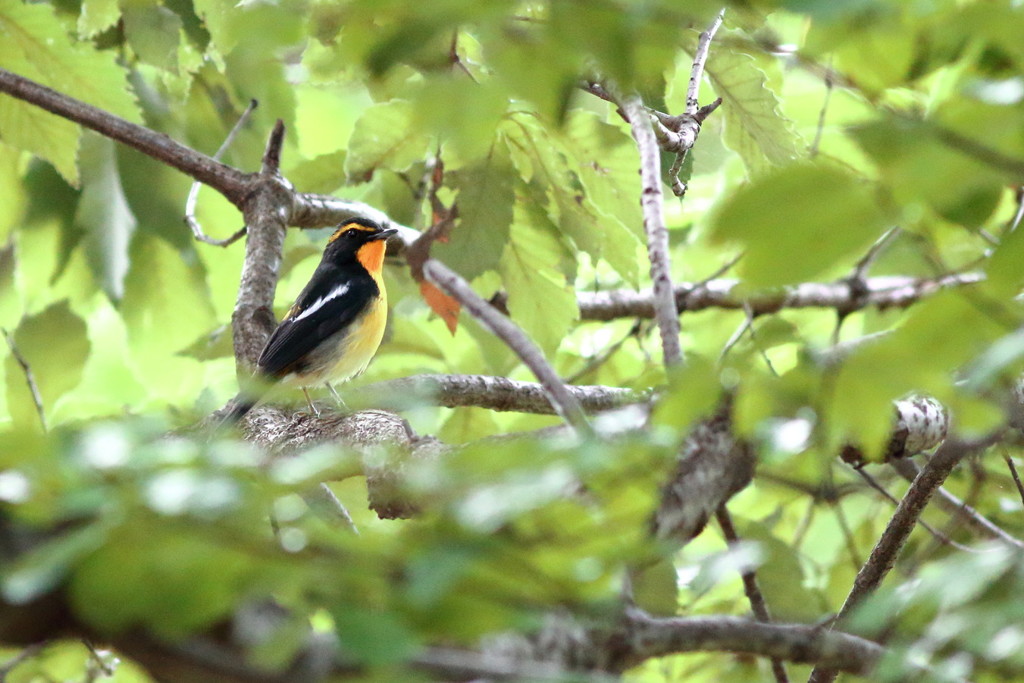 時には絵画のように…