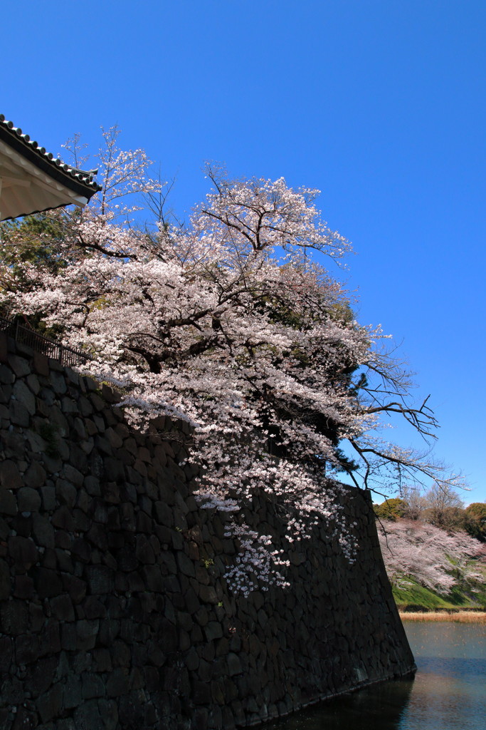 ぶらっと皇居、清水門