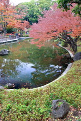 ぶらっと、初冬の横浜・憩いの池