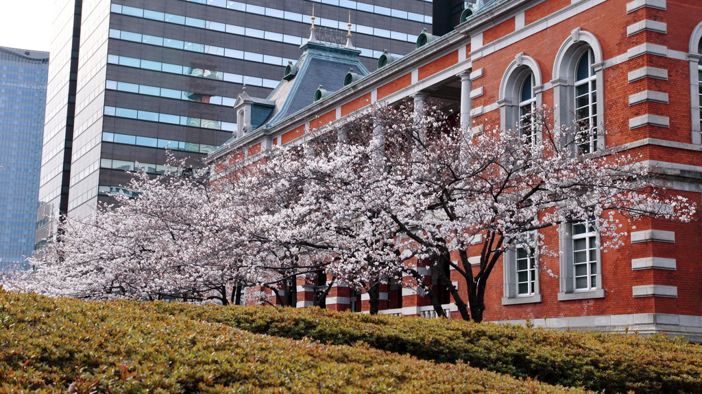 ぶらっと皇居、桜田門