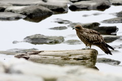一休み…一休み
