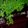 ぶらっと本土寺、境内までの道すがら