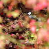 風立ちぬ、今は秋