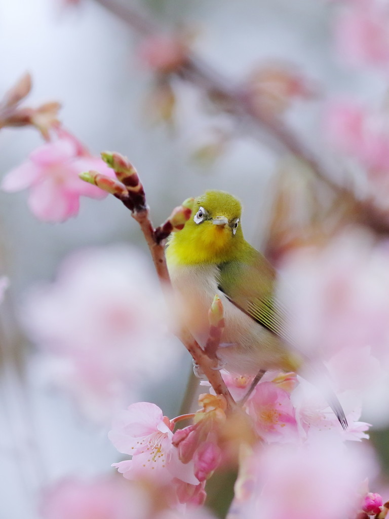 そして春へ