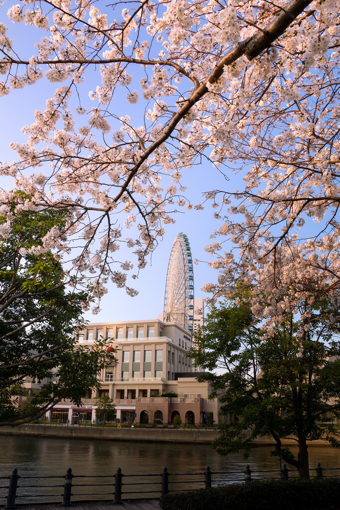 ぶらっと横浜たそがれ