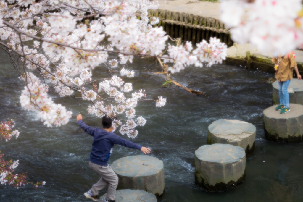 無邪気な春のいたずら