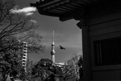 東京遊歩 ～ 繁栄の象徴と歴史の影 ～