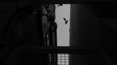 IMG_0877