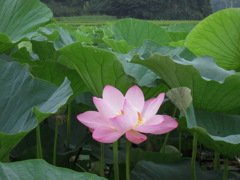 DSCN1145