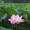 DSCN1145