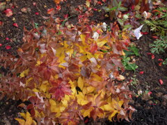 DSCN1276