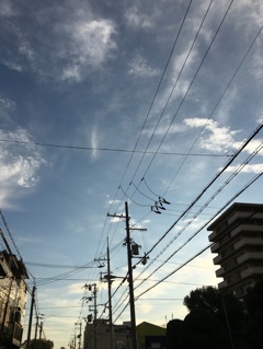 電線です