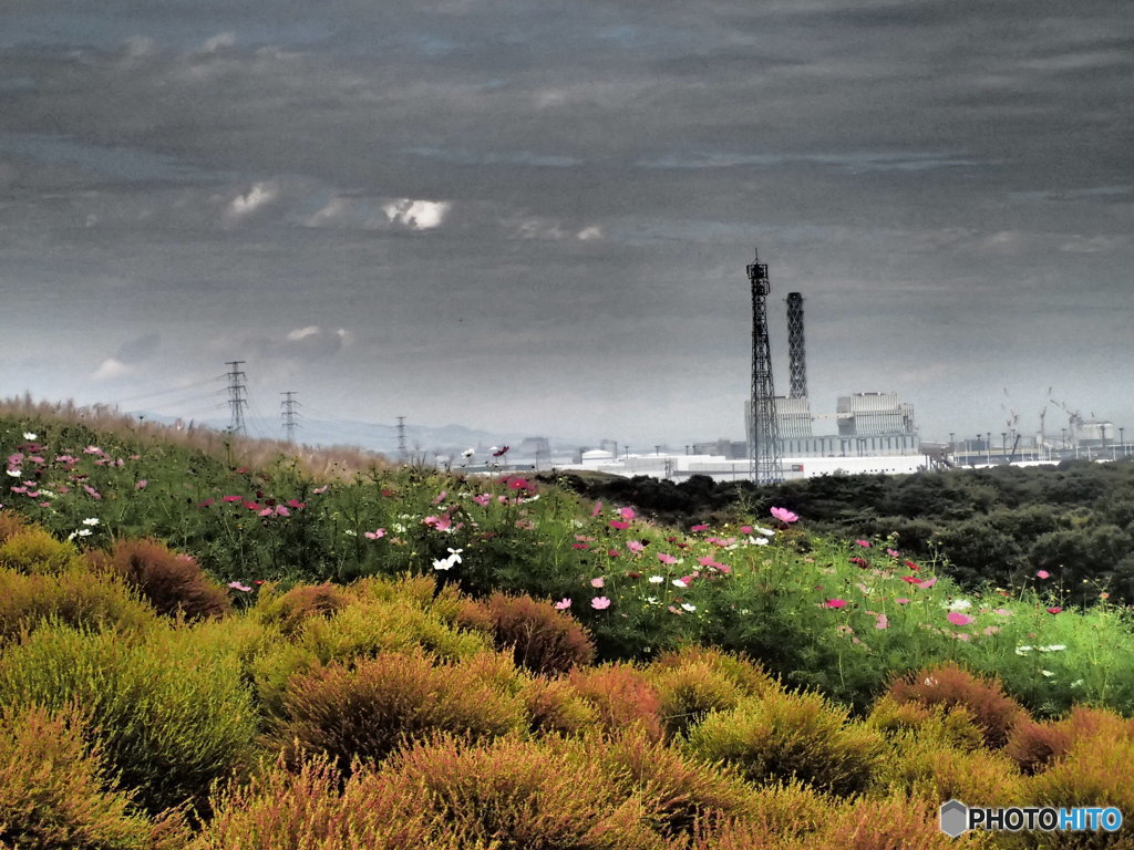 花の丘と工場