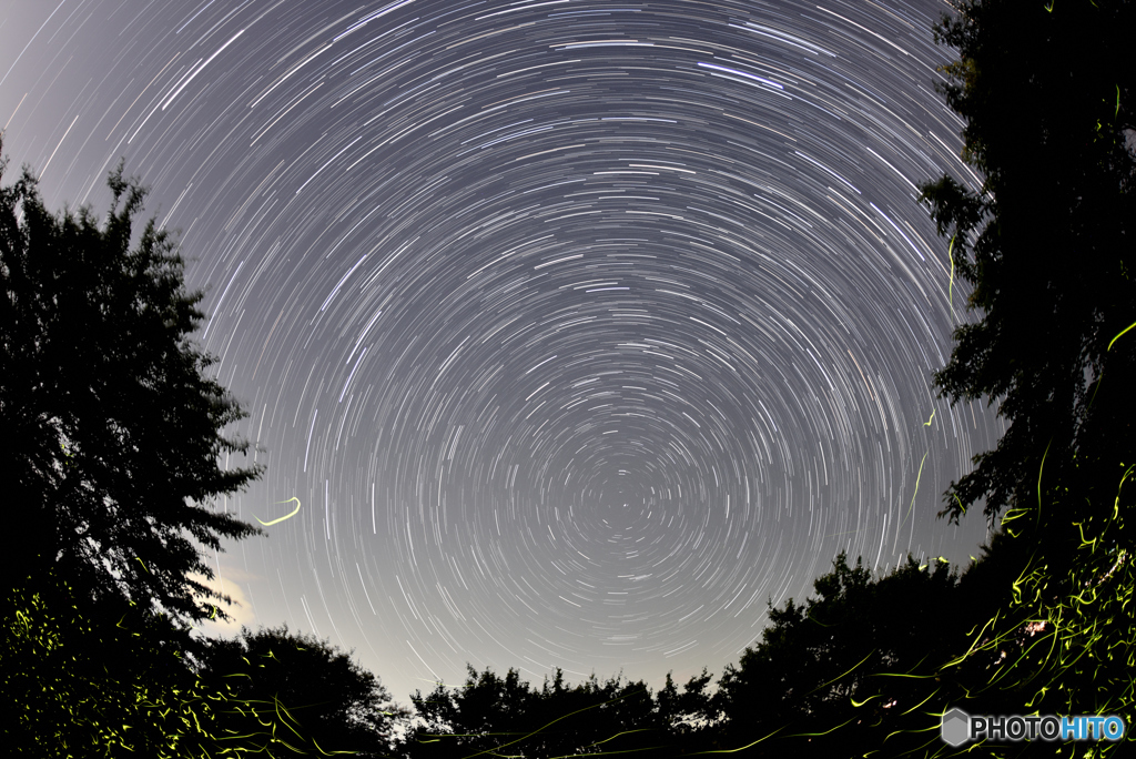 星と蛍