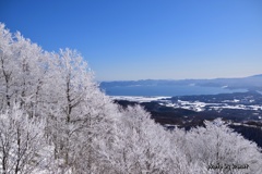 霧氷と猪苗代湖